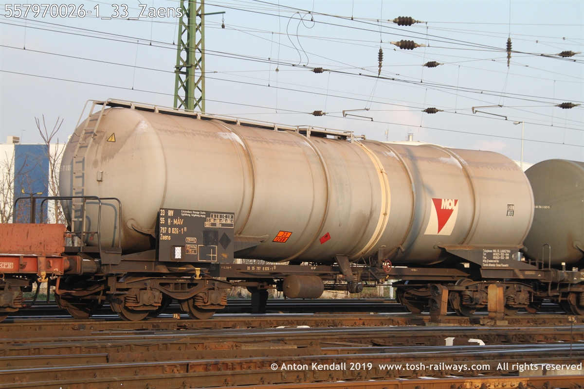 557970026-1_33_Zaens.JPG